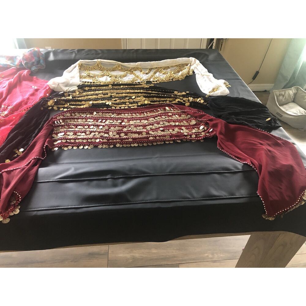 Belly Dancing Costumes
